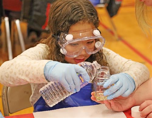 Franklin Elementary Science Day